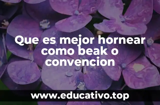 Que es mejor hornear como beak o convencion