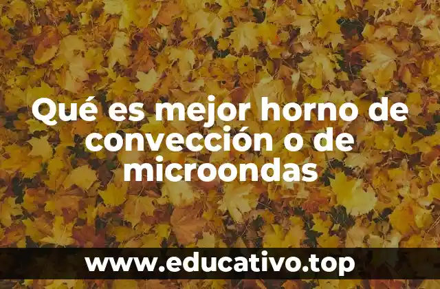Qué es mejor horno de convección o de microondas