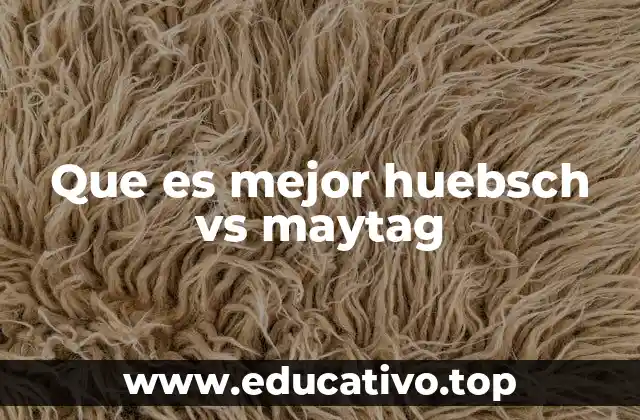 Que es mejor huebsch vs maytag