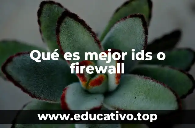 Qué es mejor ids o firewall