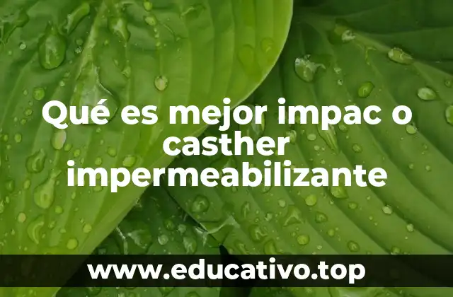 Qué es mejor impac o casther impermeabilizante