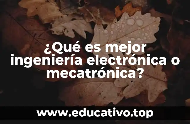 ¿Qué es mejor ingeniería electrónica o mecatrónica?