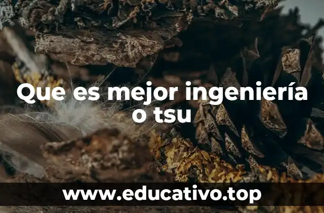 Que es mejor ingeniería o tsu