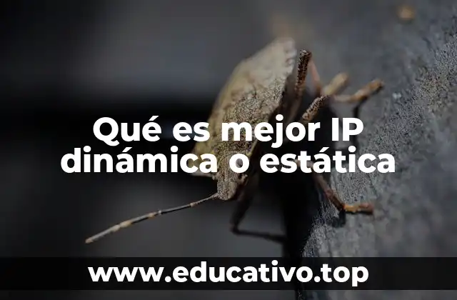 Qué es mejor IP dinámica o estática