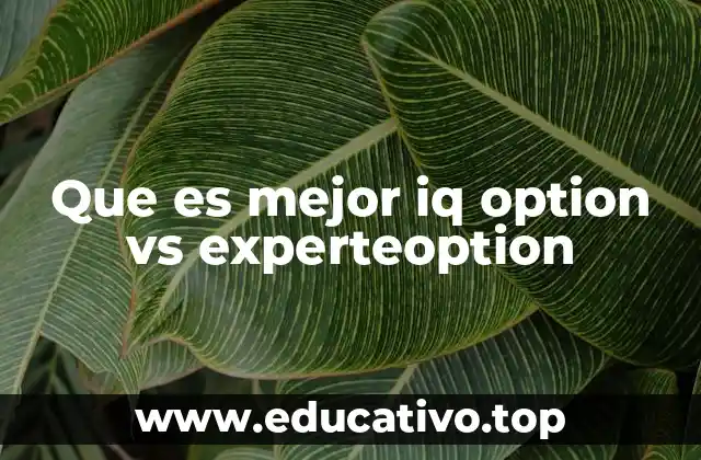 Que es mejor iq option vs experteoption