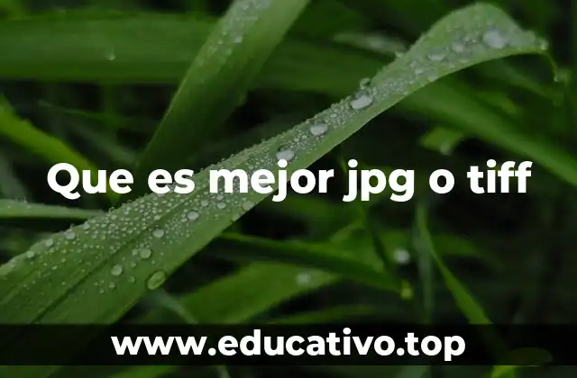 Comparando las ventajas y desventajas de ambos formatos