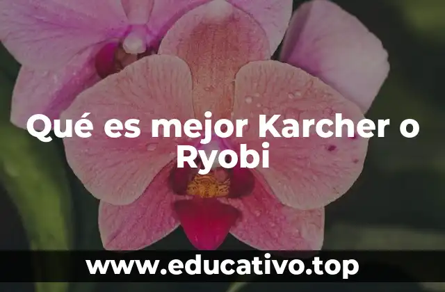 Comparando marcas de herramientas y limpieza: Karcher vs Ryobi