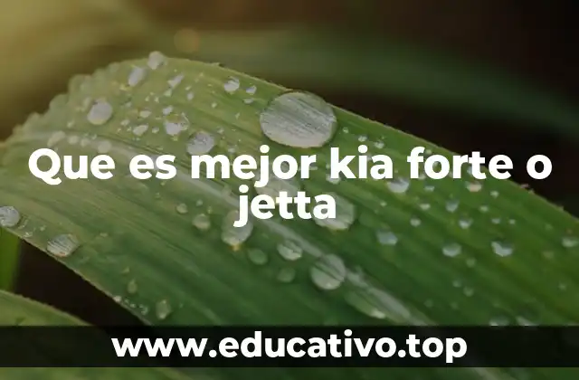 Que es mejor kia forte o jetta
