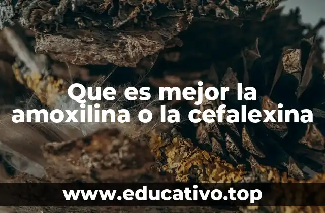 Que es mejor la amoxilina o la cefalexina