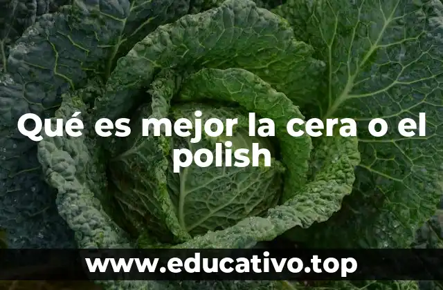 Qué es mejor la cera o el polish