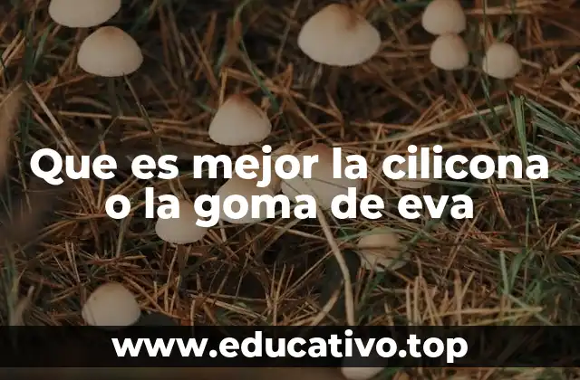 Que es mejor la cilicona o la goma de eva