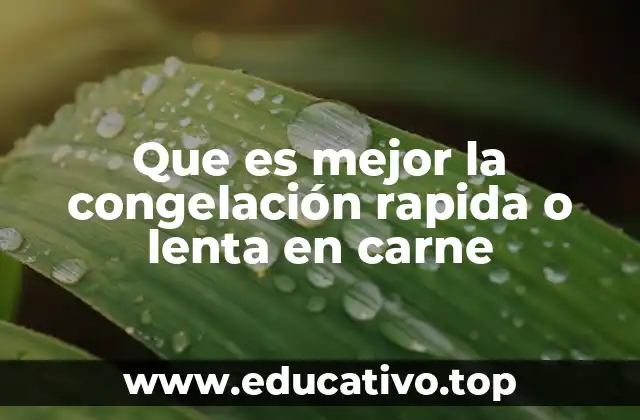 Que es mejor la congelación rapida o lenta en carne