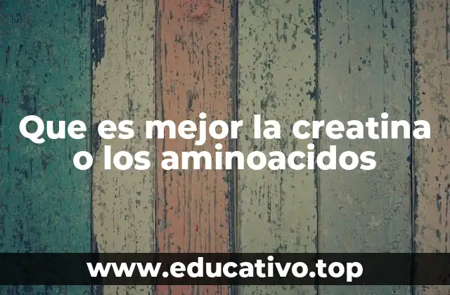Que es mejor la creatina o los aminoacidos