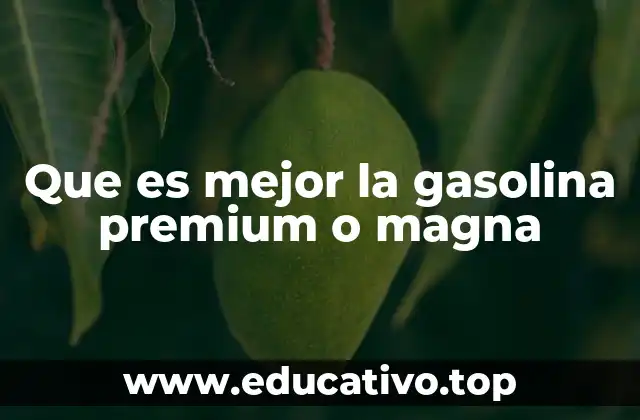 Diferencias clave entre los tipos de gasolina