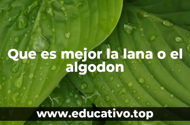 Que es mejor la lana o el algodon