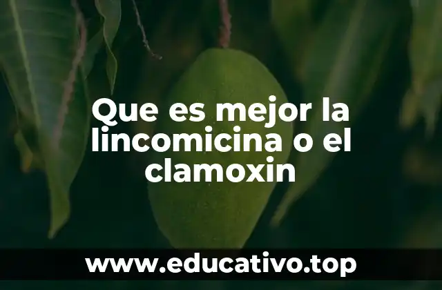 Que es mejor la lincomicina o el clamoxin