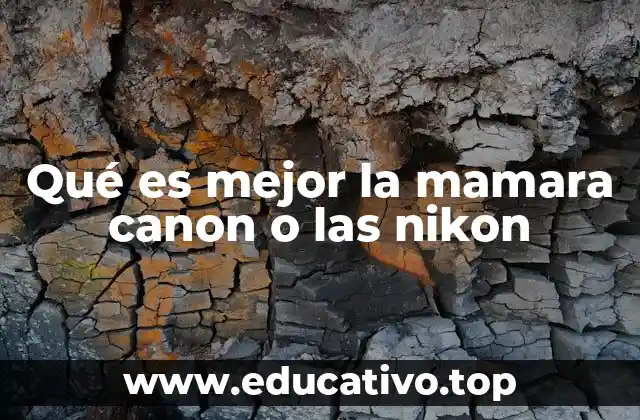 Comparativa entre flash Mamara para Canon y flash Nikon