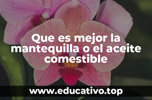 Diferencias entre ingredientes grasos en la cocina