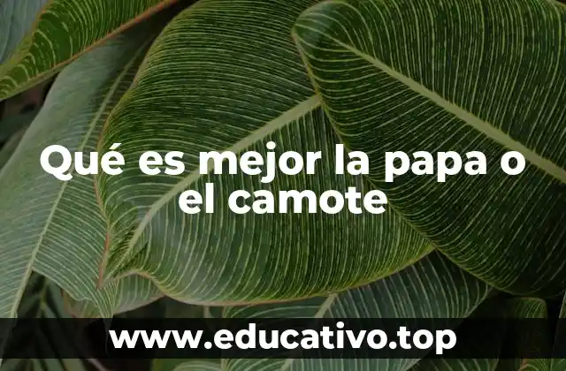 Qué es mejor la papa o el camote