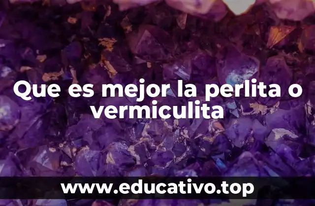 Que es mejor la perlita o vermiculita