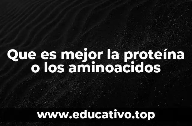 Que es mejor la proteína o los aminoacidos