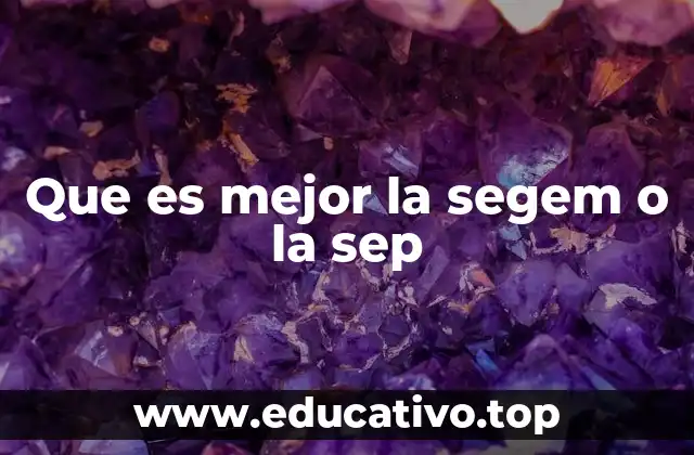 Que es mejor la segem o la sep