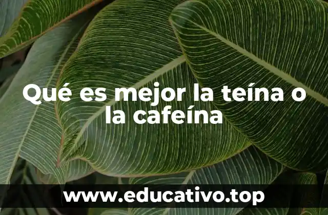 Qué es mejor la teína o la cafeína