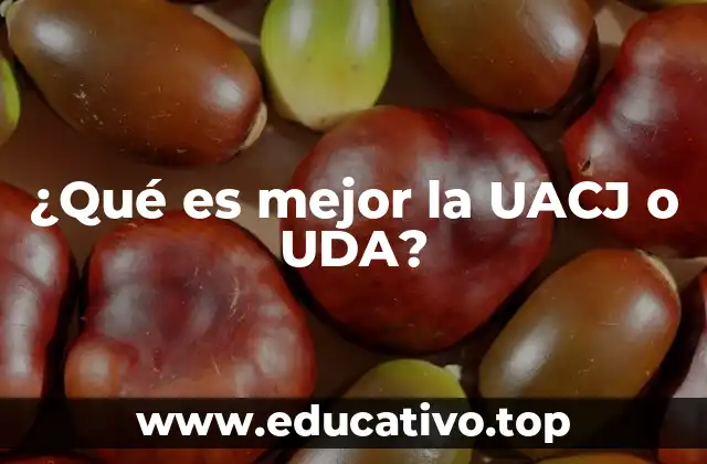 ¿Qué es mejor la UACJ o UDA?