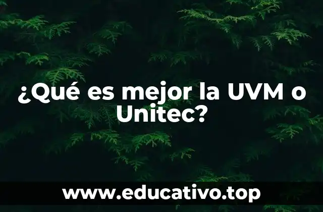 ¿Qué es mejor la UVM o Unitec?