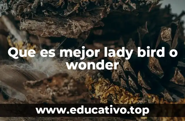 Que es mejor lady bird o wonder