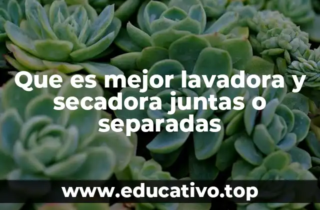 Que es mejor lavadora y secadora juntas o separadas