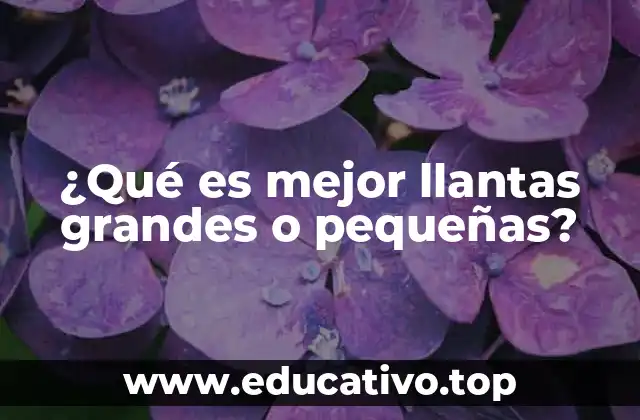 ¿Qué es mejor llantas grandes o pequeñas?