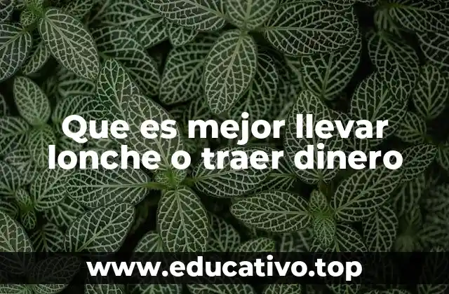 Que es mejor llevar lonche o traer dinero