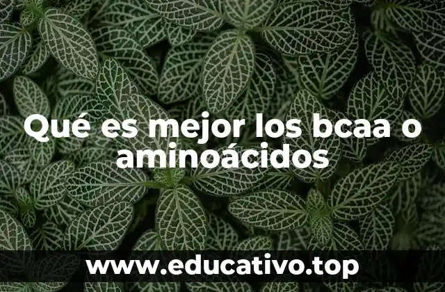 Diferencias clave entre BCAA y aminoácidos