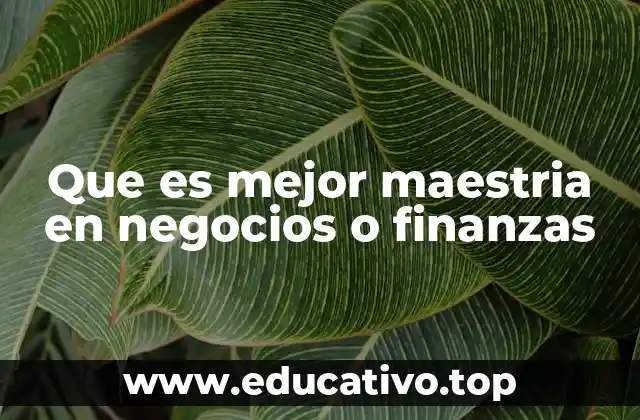 Que es mejor maestria en negocios o finanzas