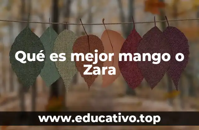 Qué es mejor mango o Zara