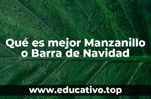 Qué es mejor Manzanillo o Barra de Navidad