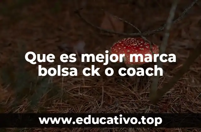 Que es mejor marca bolsa ck o coach