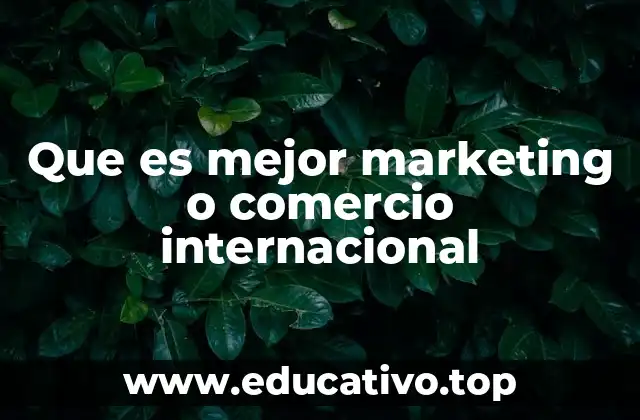 Que es mejor marketing o comercio internacional