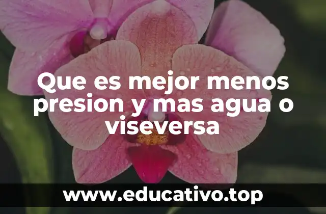 Que es mejor menos presion y mas agua o viseversa