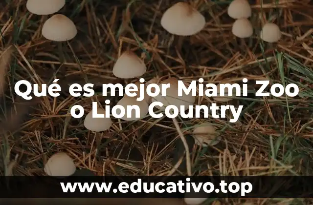 Qué es mejor Miami Zoo o Lion Country