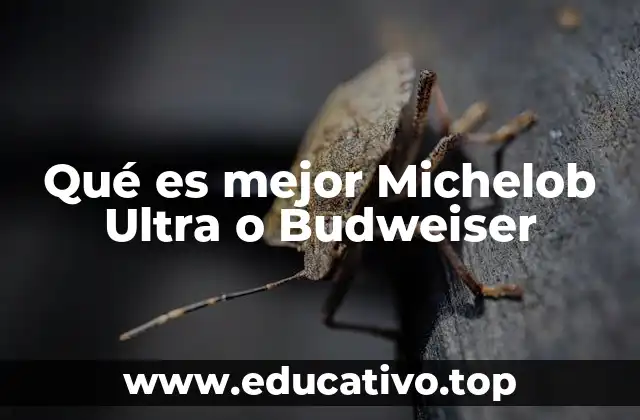 Qué es mejor Michelob Ultra o Budweiser
