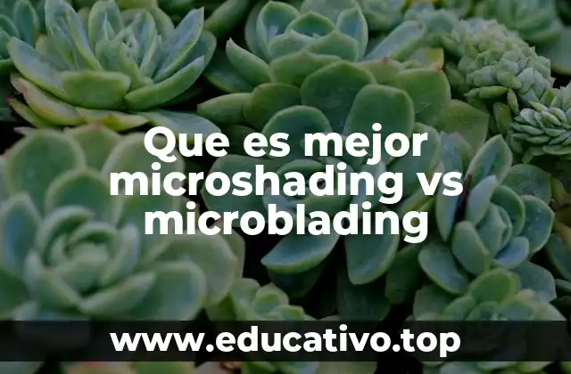 Que es mejor microshading vs microblading