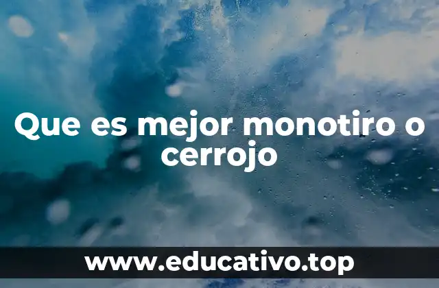 Que es mejor monotiro o cerrojo