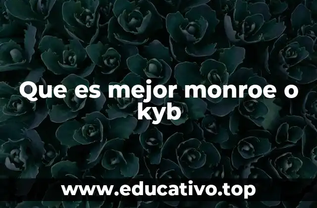 La importancia de elegir la marca adecuada de suspensiones