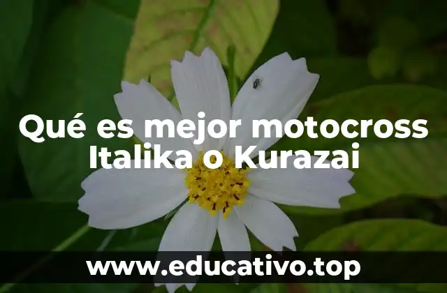 Qué es mejor motocross Italika o Kurazai