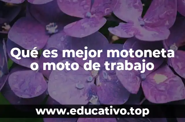 Qué es mejor motoneta o moto de trabajo