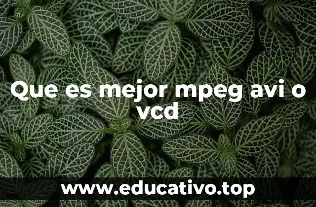 Que es mejor mpeg avi o vcd