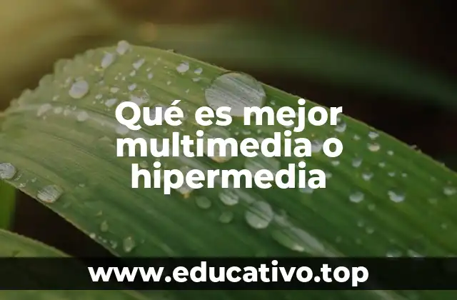 Qué es mejor multimedia o hipermedia