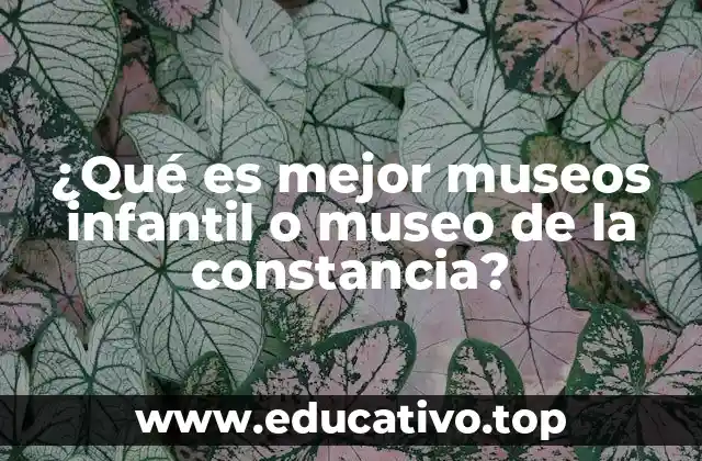 ¿Qué es mejor museos infantil o museo de la constancia?